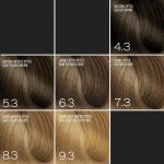 Expertia Professional Color, 100 ml