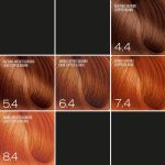 Expertia Professional Color, 100 ml