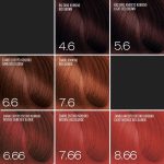 Expertia Professional Color, 100 ml