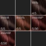 Expertia Professional Color, 100 ml